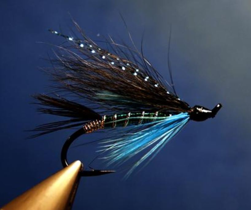 Black & Blue mouche fly tying saumon salmon eclosion Modèle Seagull29