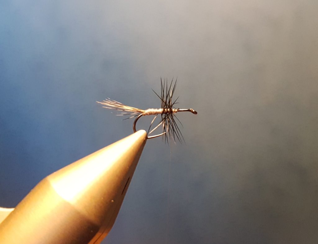 Liscorno hackle mouche fly tying eclosion