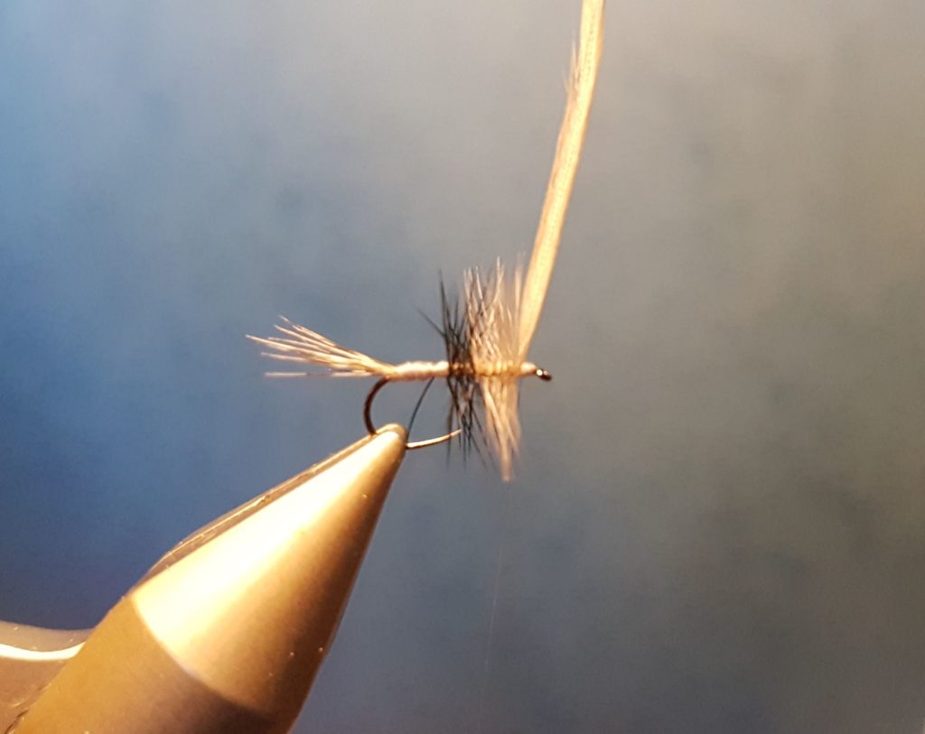 Liscorno hackle mouche fly tying eclosion