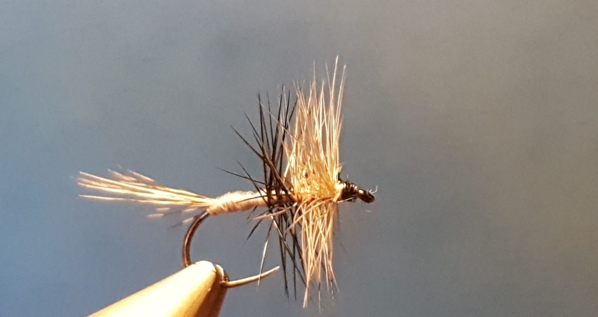 Liscorno hackle mouche fly tying eclosion
