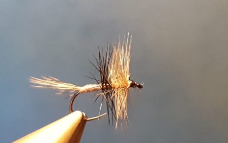 Liscorno hackle mouche fly tying eclosion