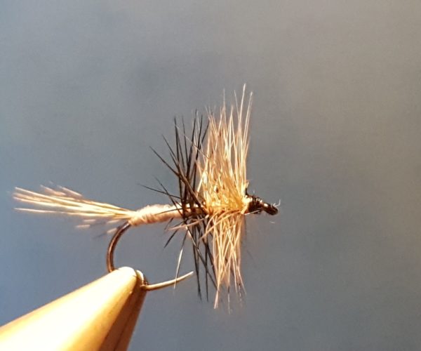Liscorno hackle mouche fly tying eclosion