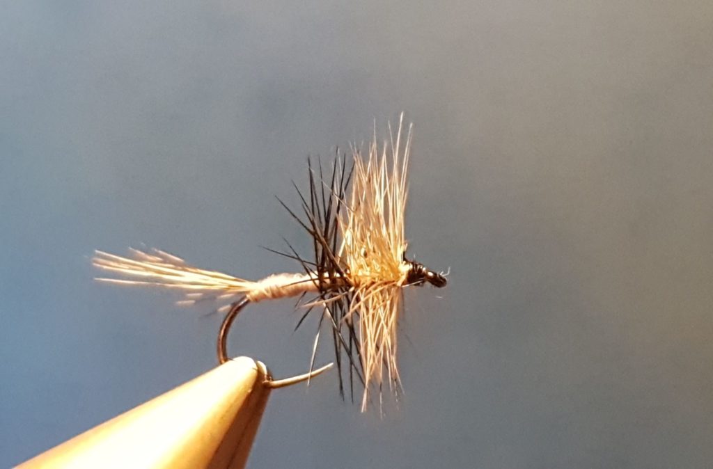 Liscorno hackle mouche fly tying eclosion