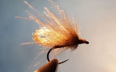 Bubble sedge EP fibers mouche fly tying eclosion
