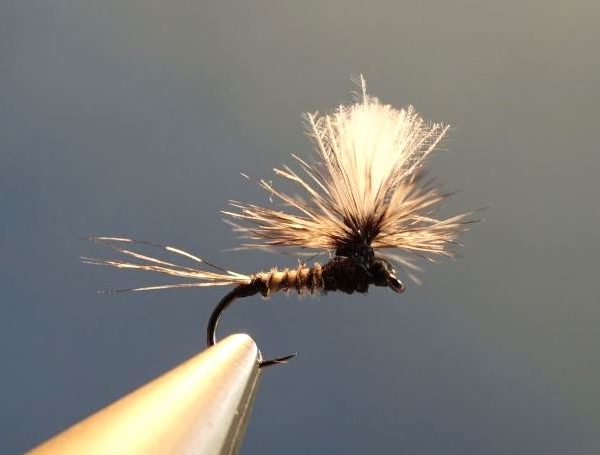 ephemere noire parachute heron corneille fly tying mouche eclosionephemere noire parachutte heron corneille fly tying mouche eclosion
