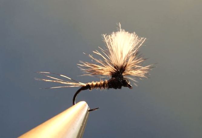 ephemere noire parachute heron corneille fly tying mouche eclosionephemere noire parachutte heron corneille fly tying mouche eclosion