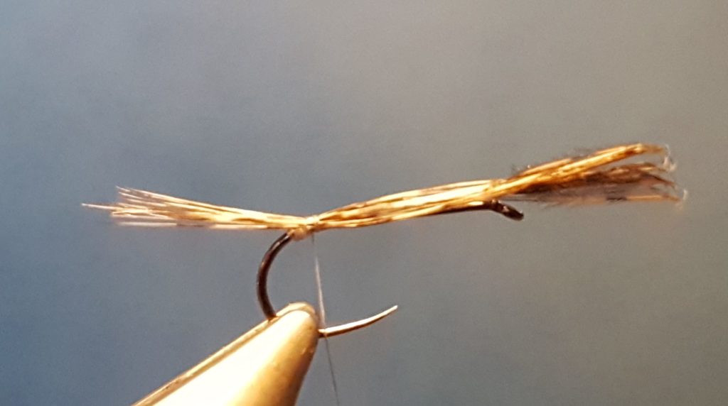 Liscorno hackle mouche fly tying eclosion