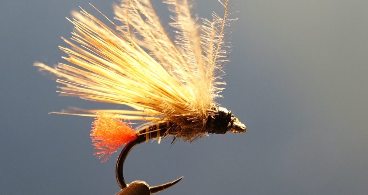 Sedge tag rouge chevreuil roe deer mouche fly tying eclosion 1