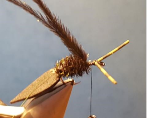 terrestre terrestrial scarabée beetle mouche fly tying eclosion