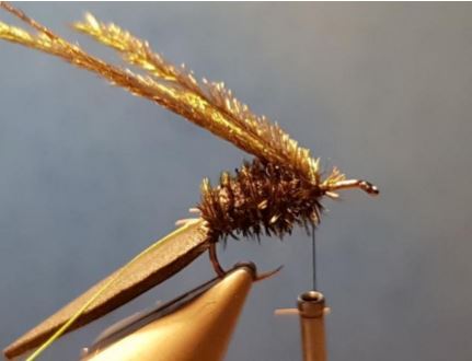 terrestre terrestrial scarabée beetle mouche fly tying eclosion