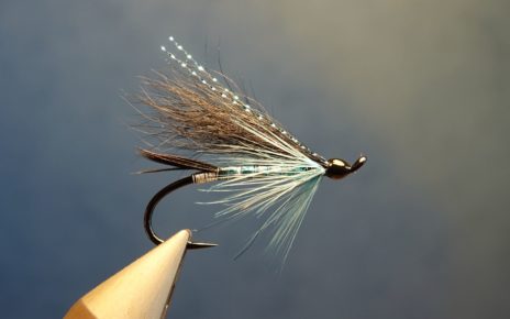 Black & blue fly mouche saumon salmon fly-tying eclosion