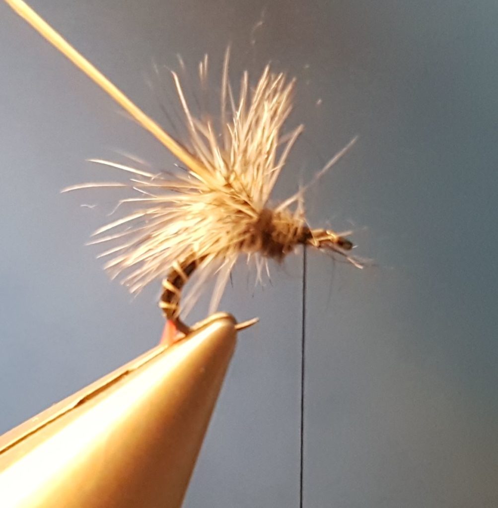 Chiro chironome paraloop hackle ùouche fly tying reservoir eclosion