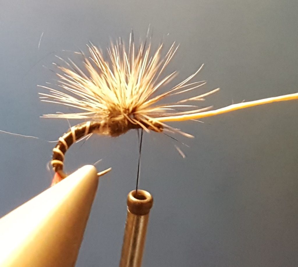 Chiro chironome paraloop hackle ùouche fly tying reservoir eclosion