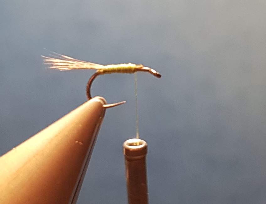 Ignita olive parachute mouche fly tying eclosion