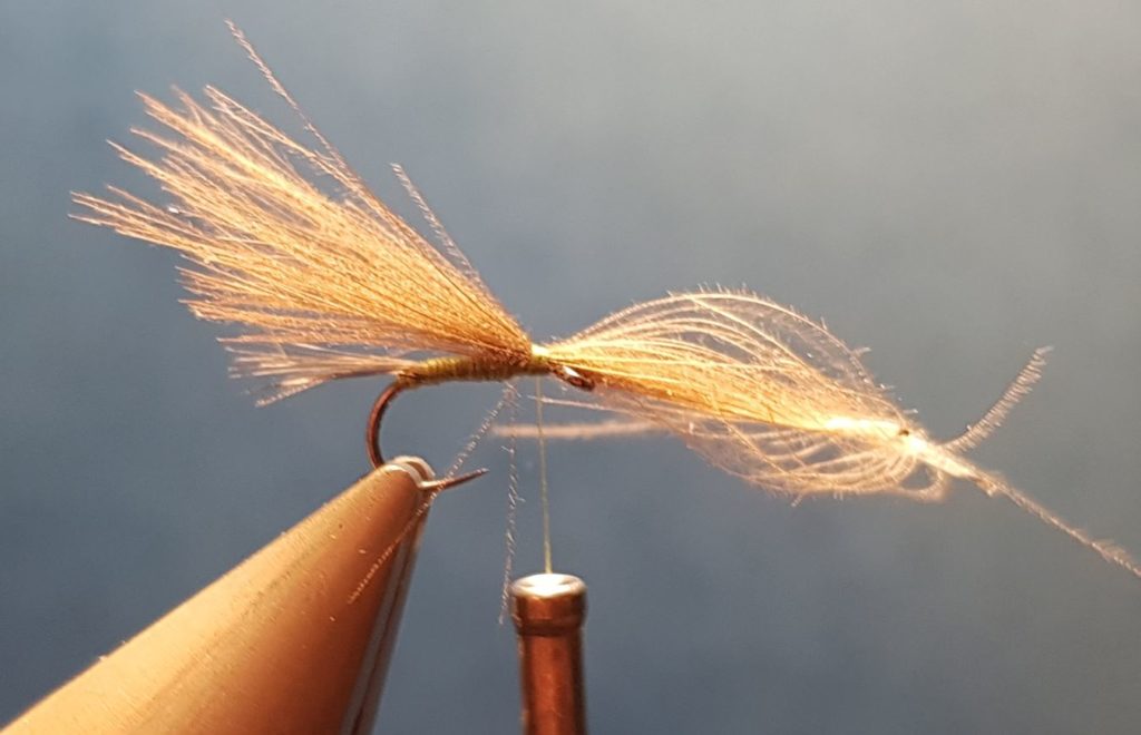 Ignita olive parachute mouche fly tying eclosion
