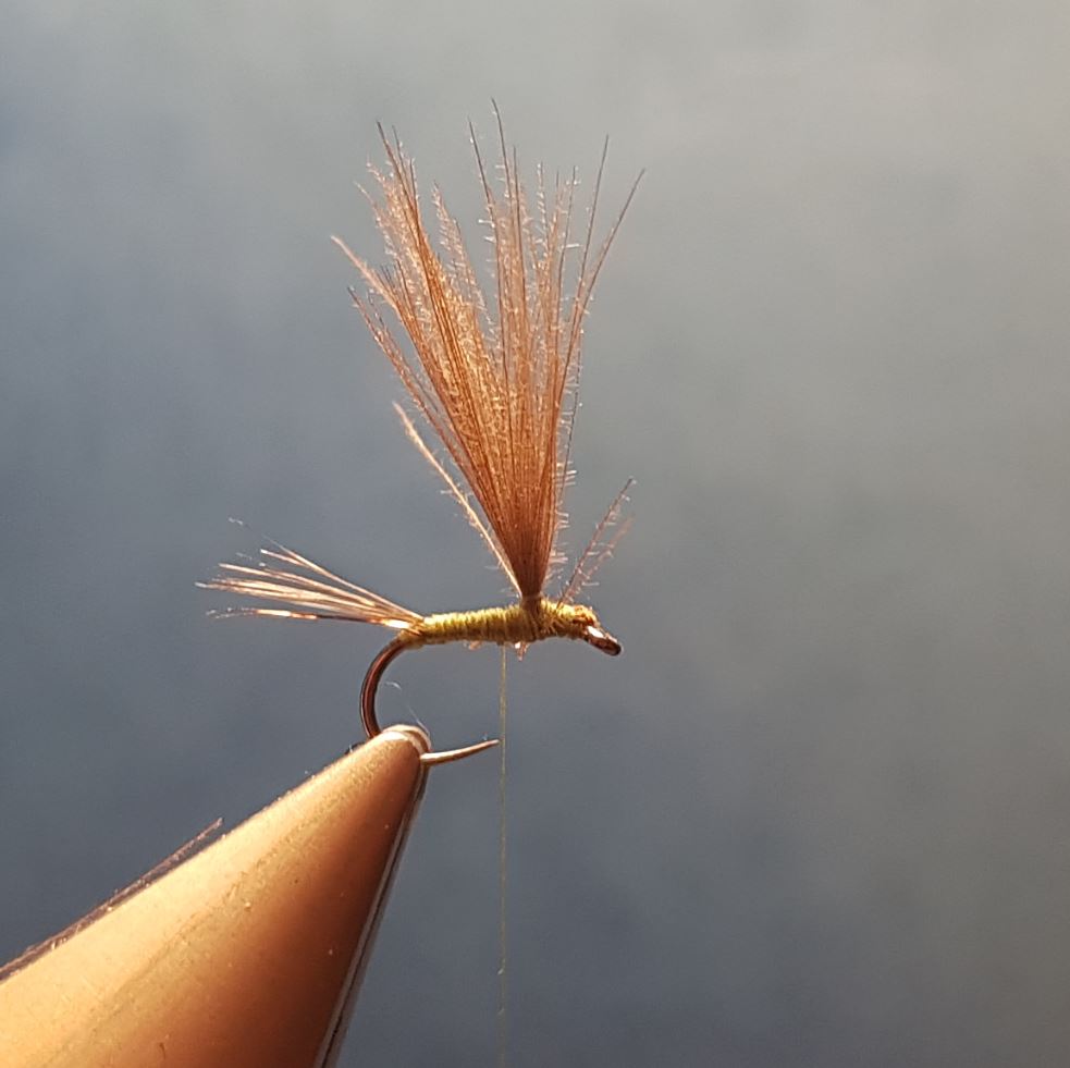 Ignita olive parachute mouche fly tying eclosion