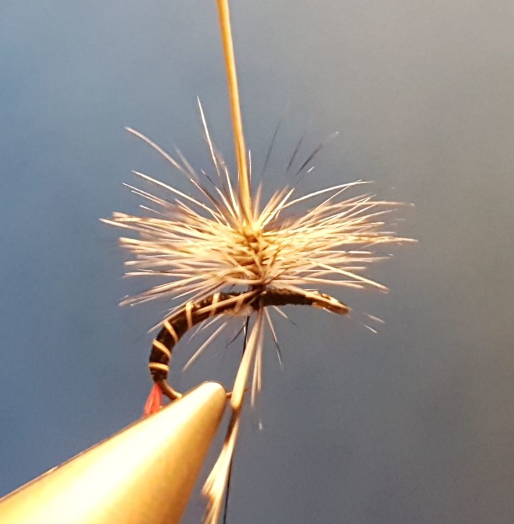 Chiro chironome paraloop hackle ùouche fly tying reservoir eclosion