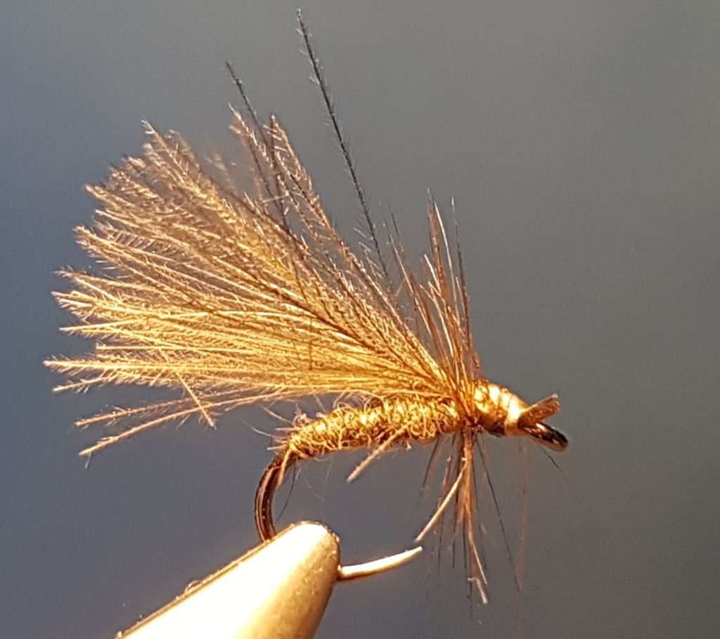 EM3 hackle mouche fly tyng eclosion emergente