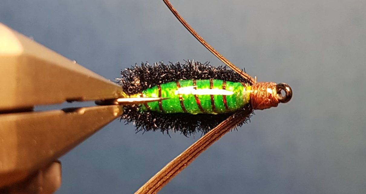 Corixa mouche nymphe fly tying eclosion