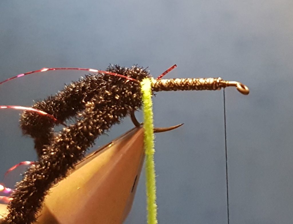 Corixa mouche nymphe fly tying eclosion