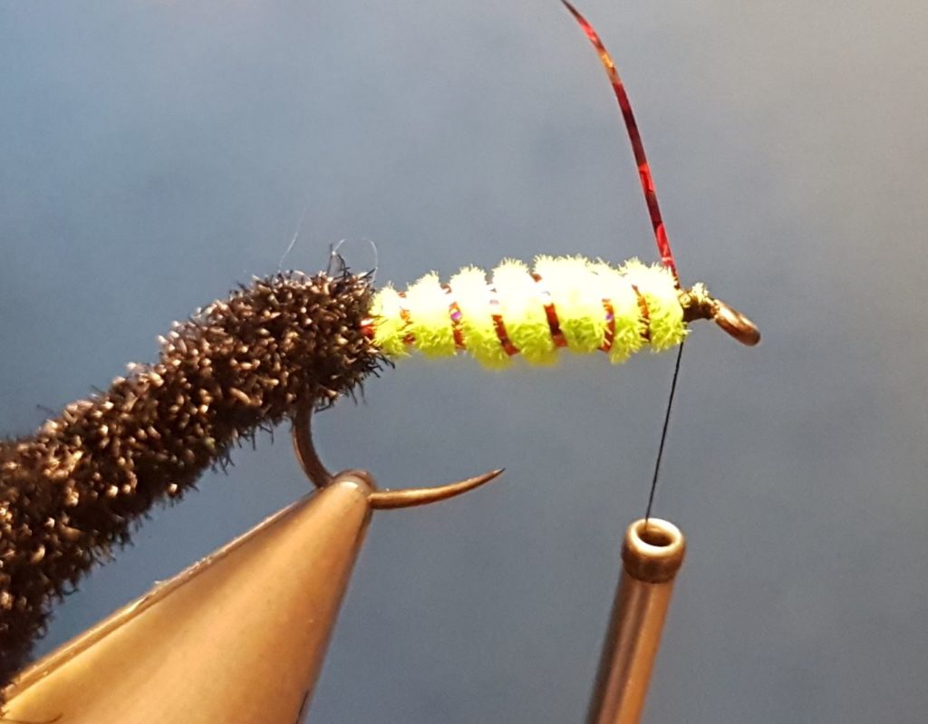 Corixa mouche nymphe fly tying eclosion