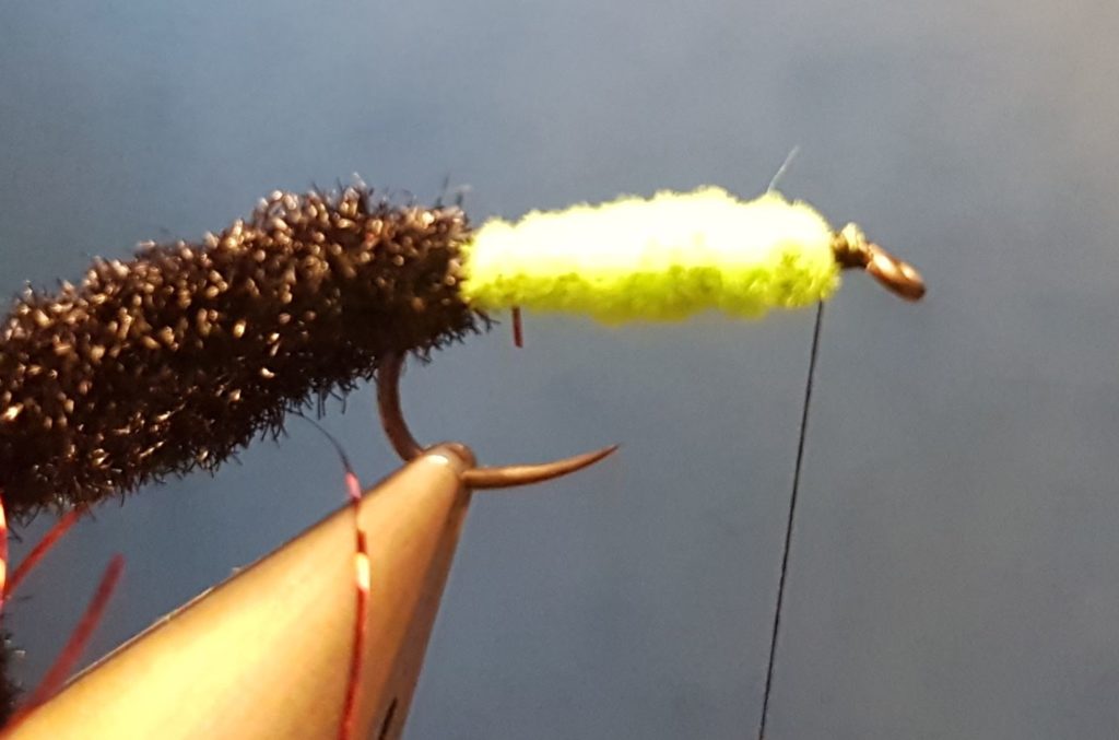 Corixa mouche nymphe fly tying eclosion