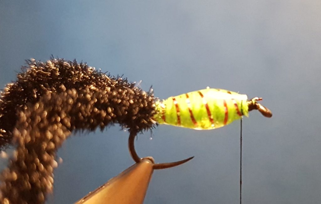 Corixa mouche nymphe fly tying eclosion