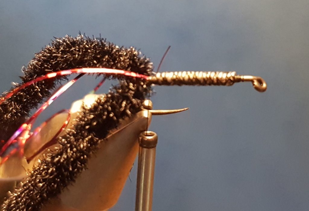 Corixa mouche nymphe fly tying eclosion