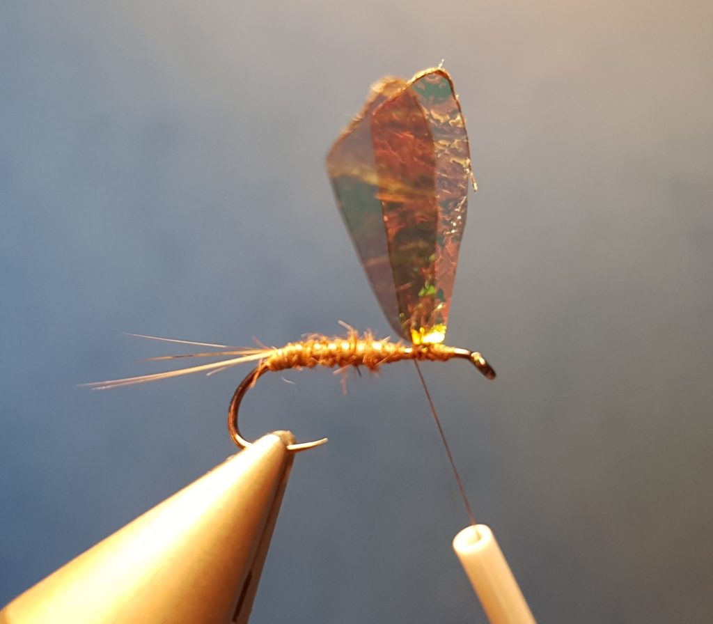 MB march brown elan martre mouche fly tying eclosion