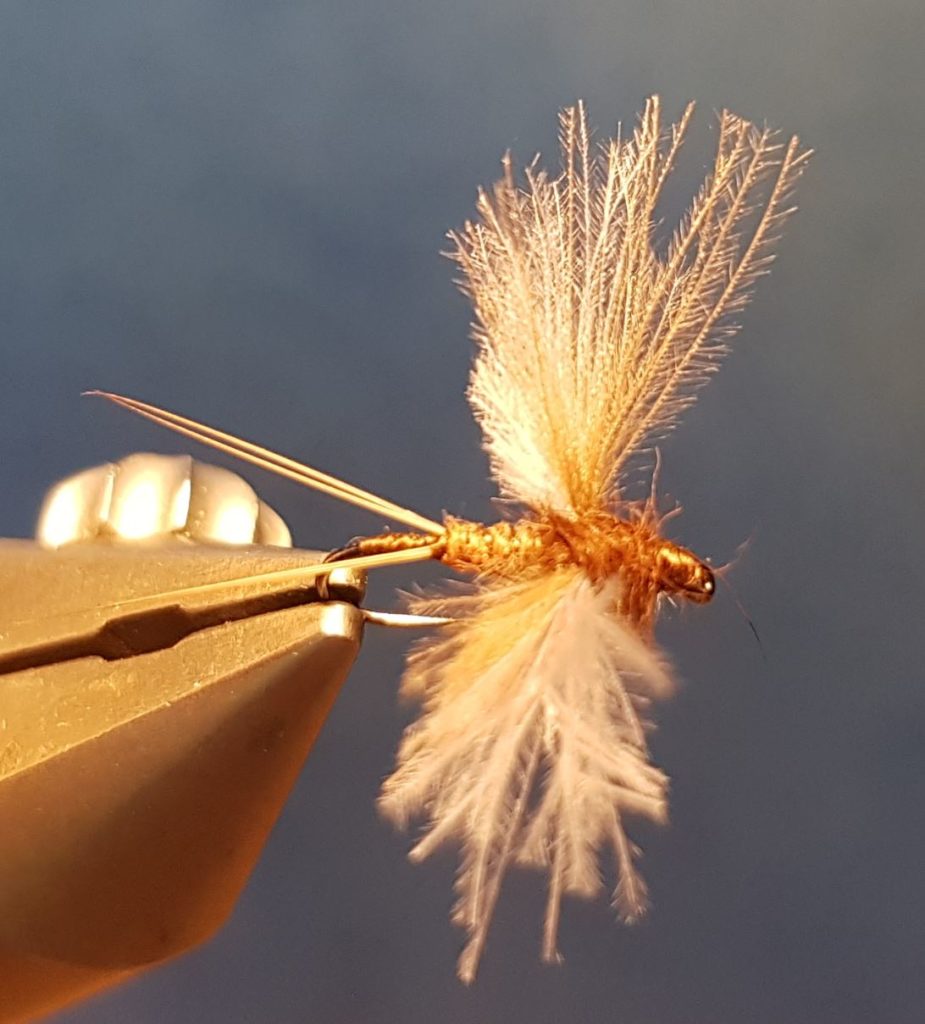 Brune de mars march brown CDC dubbing moose mane elan fly tying eclosion mouche