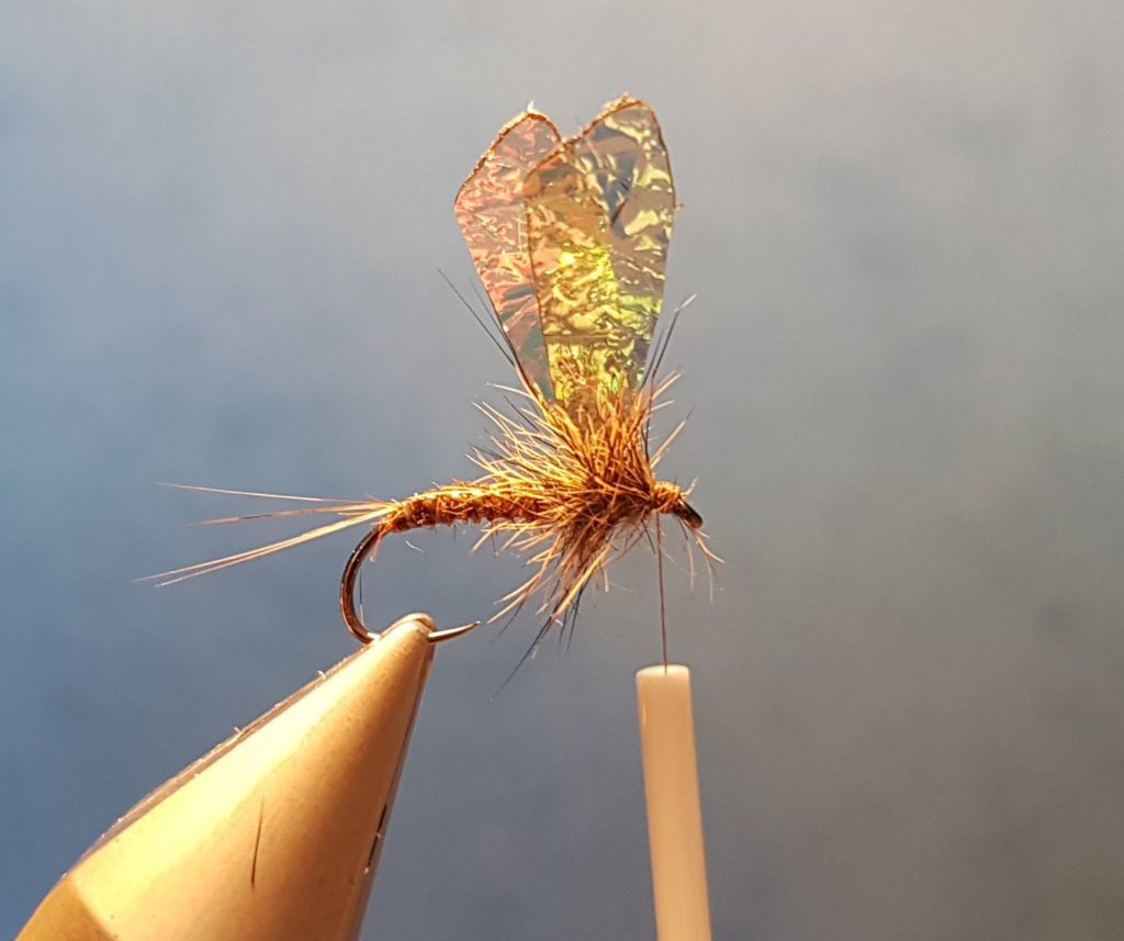 MB march brown elan martre mouche fly tying eclosion