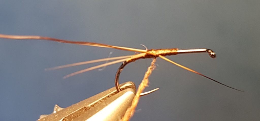 Brune de mars march brown CDC dubbing moose mane elan fly tying eclosion mouche