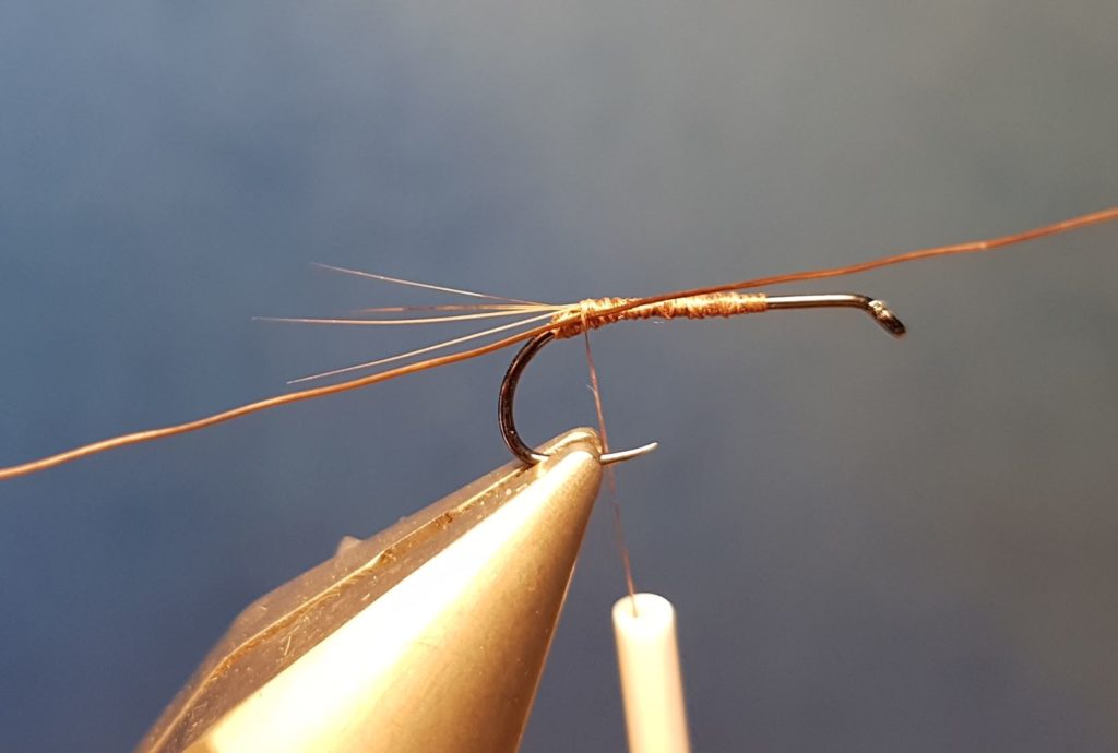 MB march brown elan martre mouche fly tying eclosion