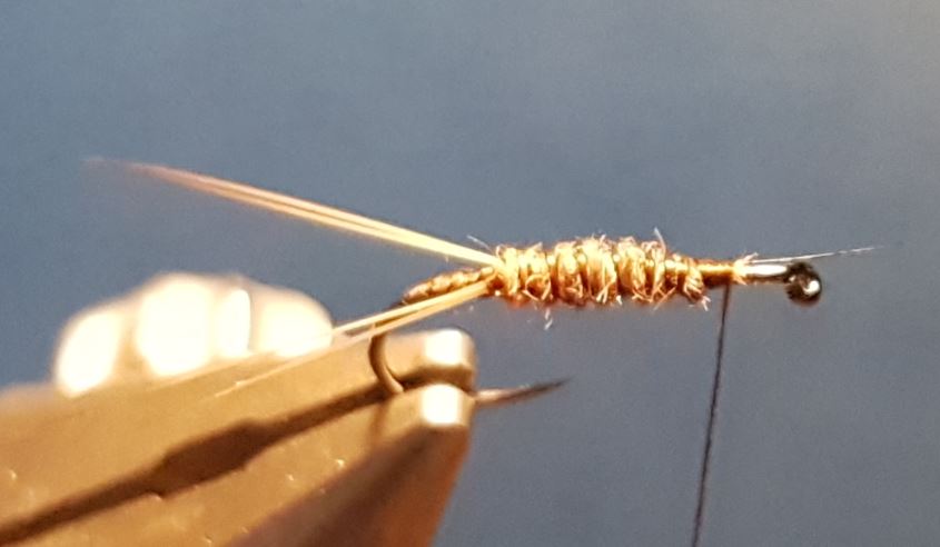 Brune de mars march brown CDC dubbing moose mane elan fly tying eclosion mouche 