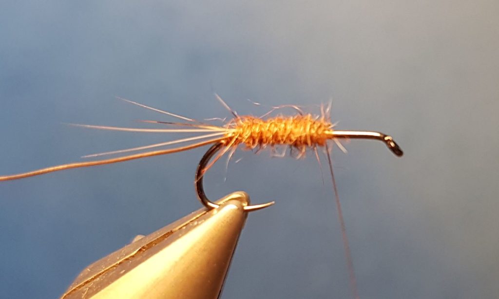 MB march brown elan martre mouche fly tying eclosion