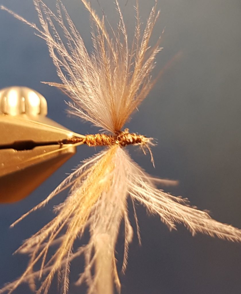 Brune de mars march brown CDC dubbing moose mane elan fly tying eclosion mouche