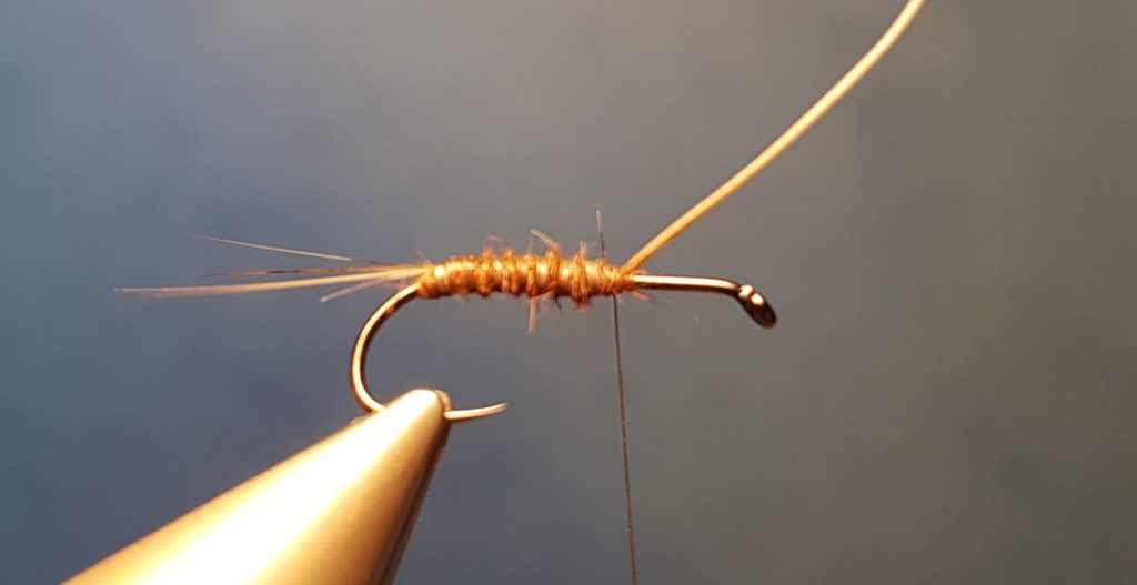 MB march brown elan martre mouche fly tying eclosion