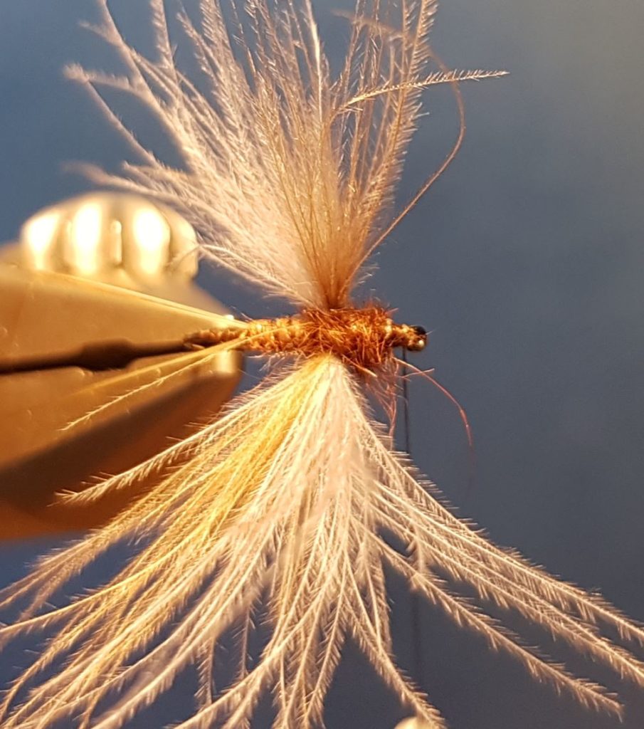 Brune de mars march brown CDC dubbing moose mane elan fly tying eclosion mouche