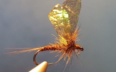 MB march brown elan martre mouche fly tying eclosion