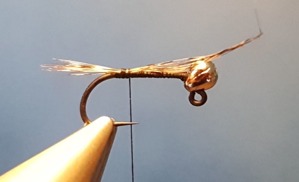 perdigon UV nymphe mouche fly tying eclosion