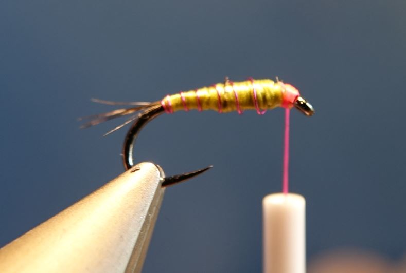 Nymphe facile mouche fly tying eclosion