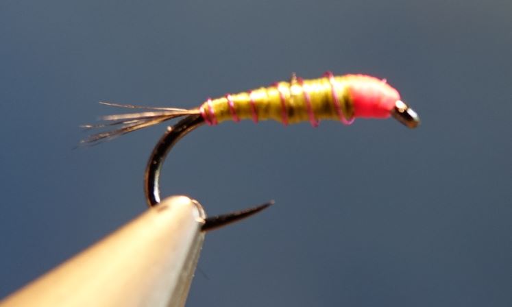 Nymphe facile mouche fly tying eclosion 