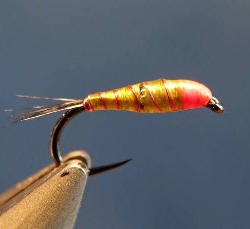 Nymphe facile mouche fly tying eclosion