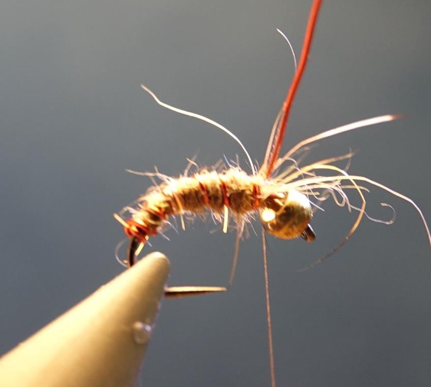 Nymphe bille dubbing lièvre hare fly tying mouche eclosion