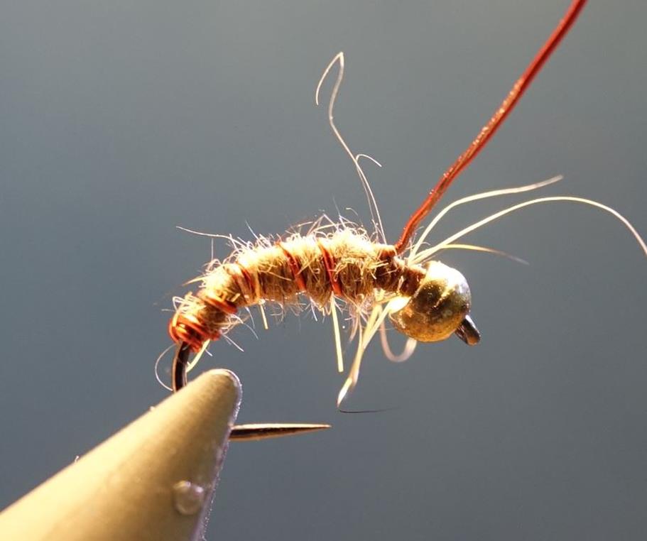 Nymphe bille dubbing lièvre hare fly tying mouche eclosion