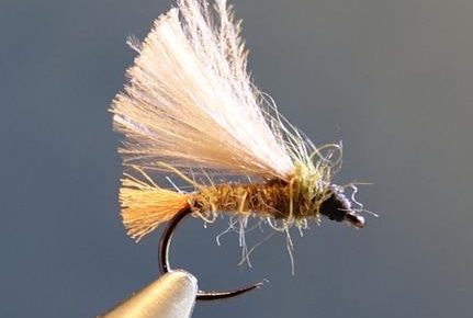 émergente olive ATE dubbing CDC antron lièvre mouche fly tying eclosion