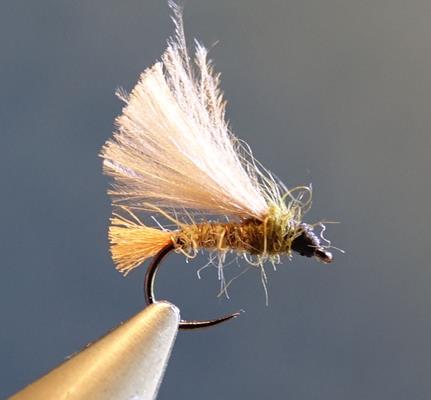 émergente olive ATE dubbing CDC antron lièvre mouche fly tying eclosion