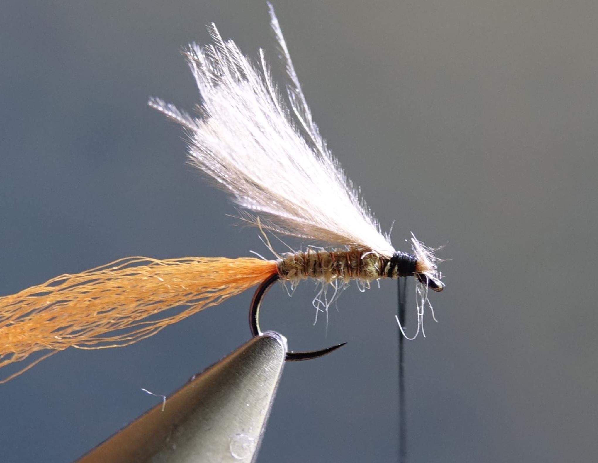 émergente olive ATE dubbing CDC antron lièvre mouche fly tying eclosion