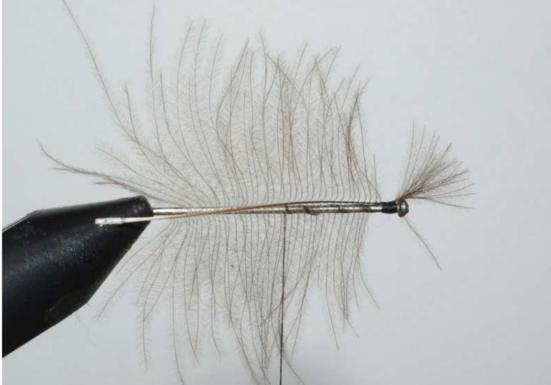 voilier crp détaché noué CDC dubbing lièvre fly mouche tying flytying eclosion 11