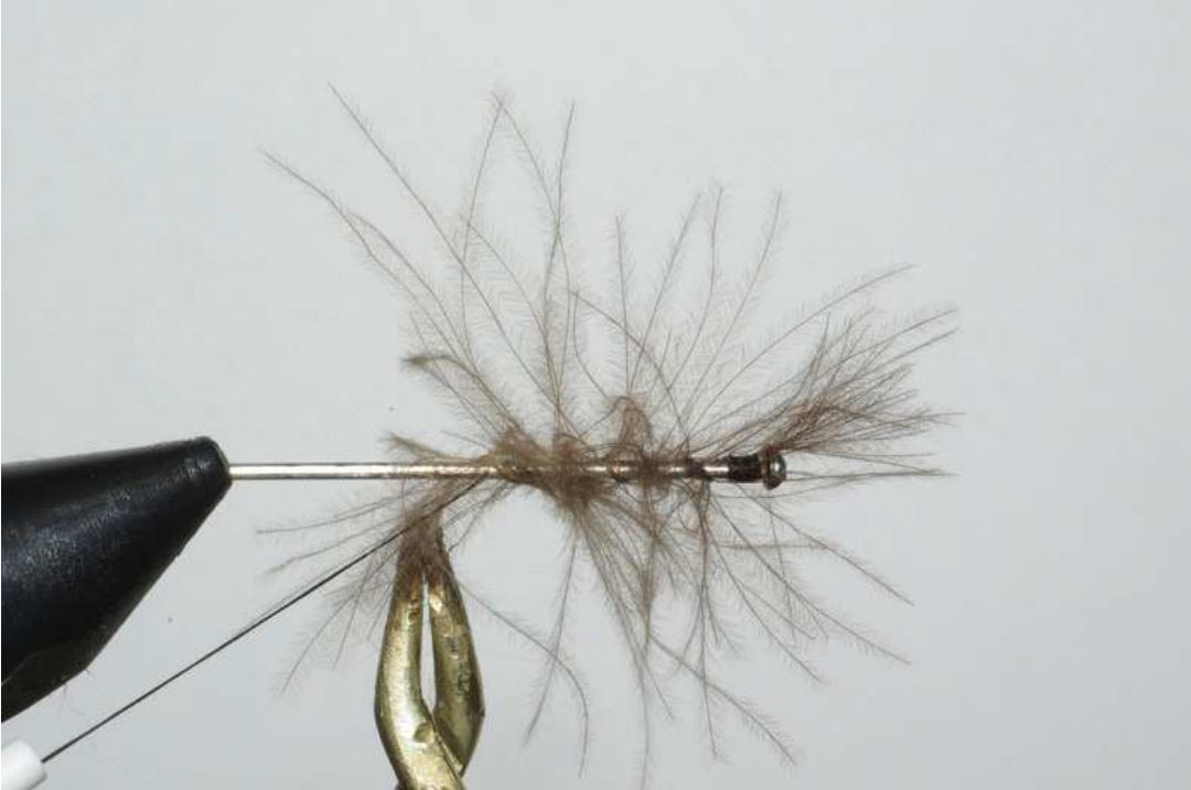 voilier crp détaché noué CDC dubbing lièvre fly mouche tying flytying eclosion